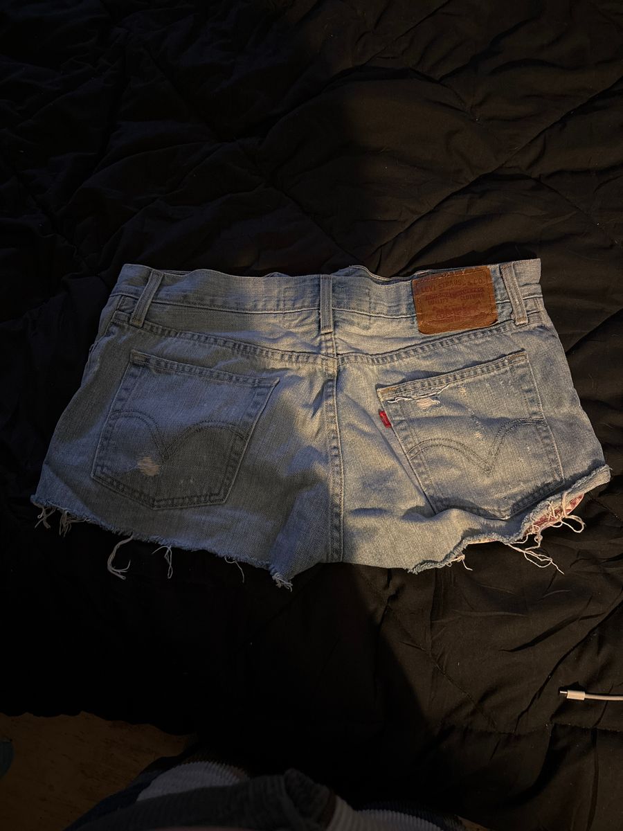 levi_2
